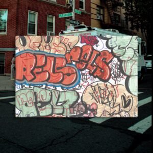 Rels Citrus Throwies Canvas